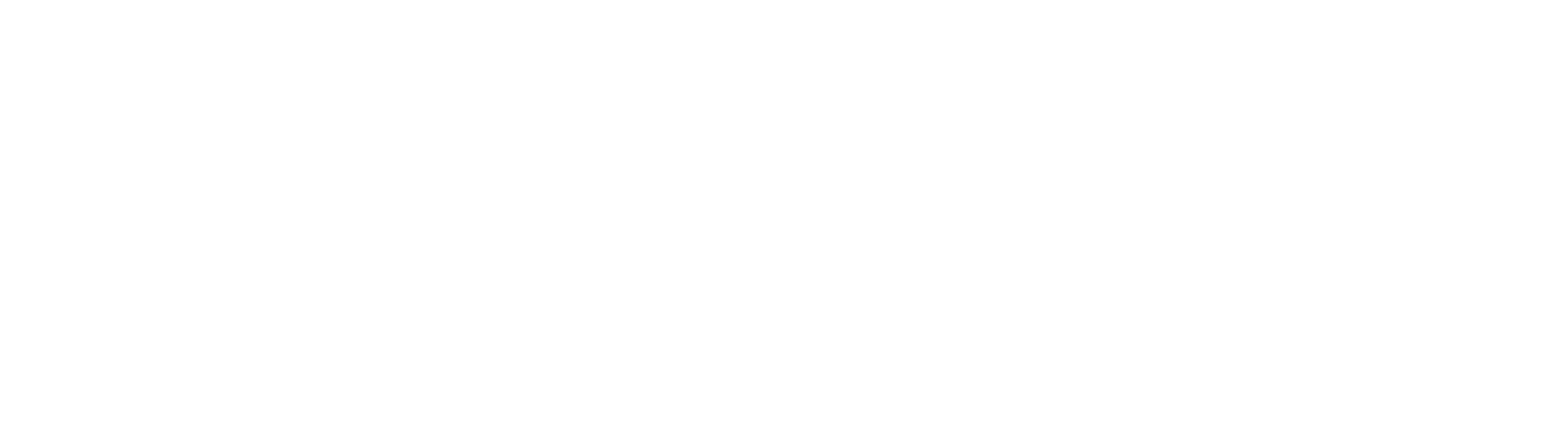 Fancy Denim Logo